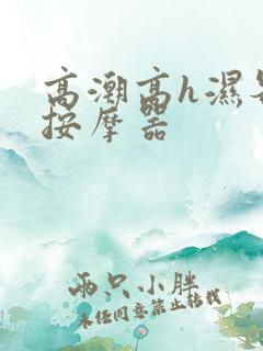 高潮高h湿各种按摩器