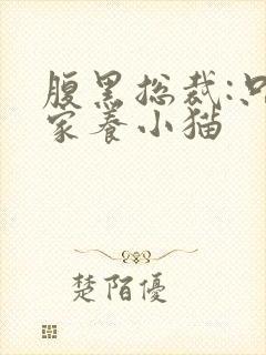 腹黑总裁:只疼家养小猫