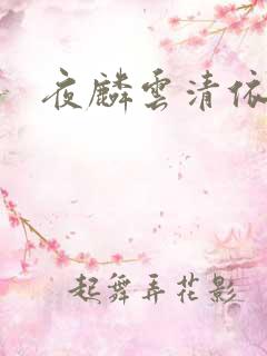 夜麟云清依小说