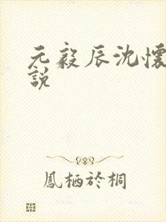 元毅辰沈怀妆小说