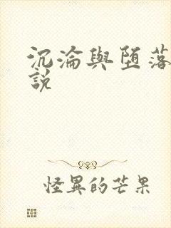 沉沦与堕落的小说