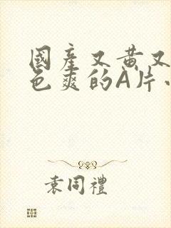 国产又黄又大又色爽的A片小说