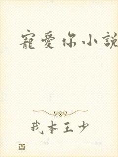 宠爱你小说