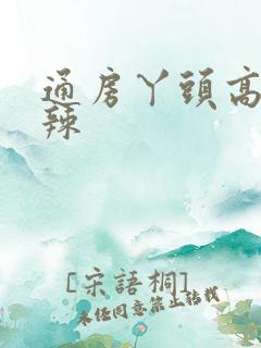 通房丫头高h肉辣