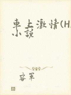 车上激情(H)小说