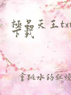 极品天王txt下载