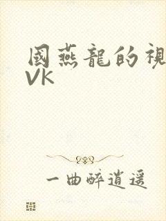 国燕龙的视频IVK