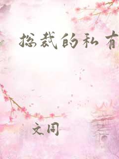 总裁的私有宝贝