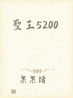 圣王5200