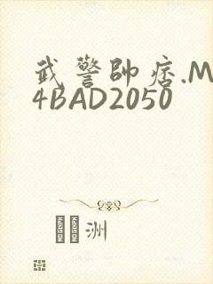 武警帅痞.MP4BAD2050
