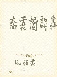 太子妃和皇帝在御花园叫什么小说