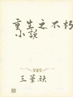 重生之不朽传奇 小说