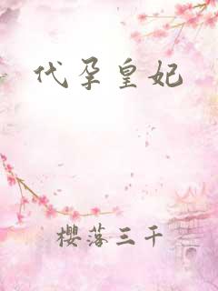 代孕皇妃