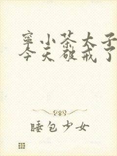 宁小茶太子殿下今天破戒了吗免费阅读