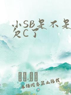 小SB是不是又欠C了