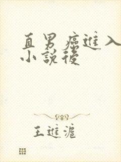 直男癌进入言情小说后