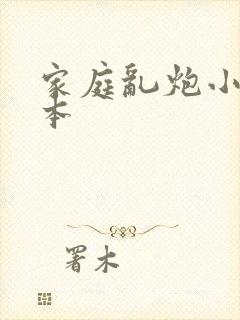 家庭乱炮小说全本