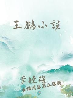 王鹏小说
