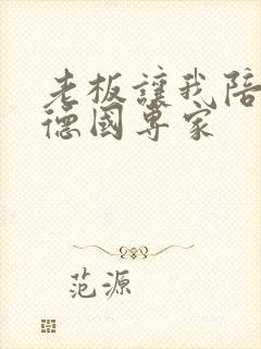 老板让我陪两个德国专家