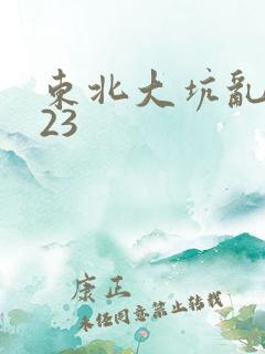 东北大坑乱1—23