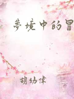 梦境中的冒险家