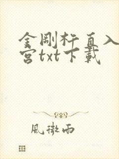 金刚杵直入莲花宫txt下载