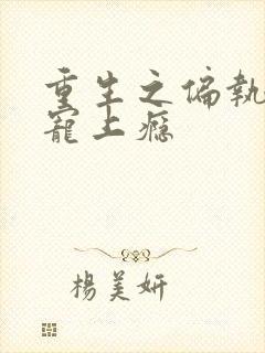 重生之偏执老公宠上瘾