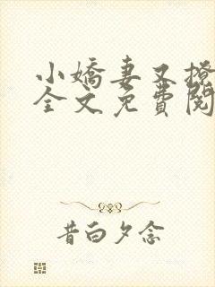 小娇妻又撩又甜全文免费阅读