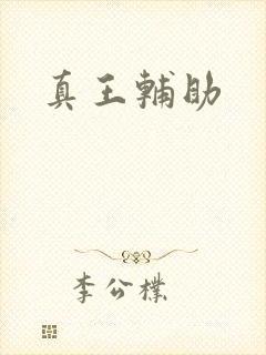 真王辅助