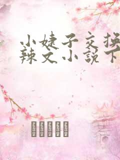 小婕子交换系列辣文小说下载