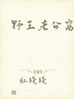 野王老公窝