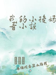 我的小后妈免费看小说