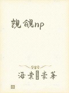觊觎np