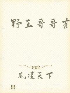 野王哥哥有点甜