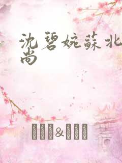 沈碧婉苏北宸和尚