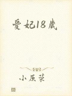 爱妃18岁