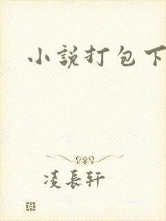 小说打包下载
