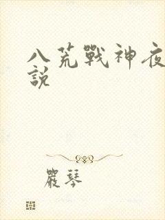 八荒战神夜麟小说