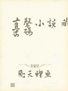 有声小说 藏地密码