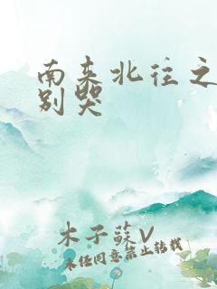 南来北往之老婆别哭