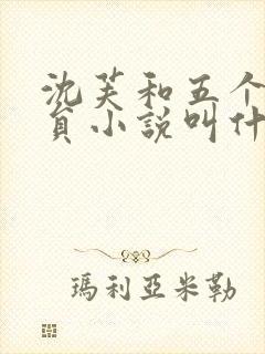 沈芙和五个消防员小说叫什么