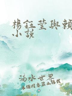 杨钰莹与赖昌星小说