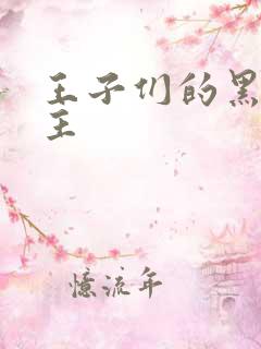 王子们的黑道公主