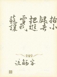 苏雪把腿抬起来让我进去小说