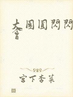 大团圆闪闪相亲会