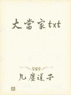 大当家txt