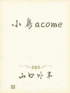 小鸟acome