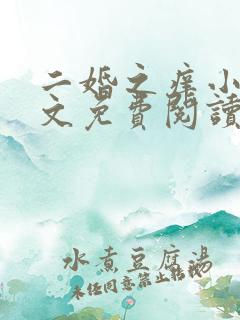 二婚之痒小说全文免费阅读