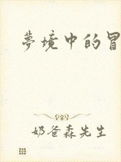 梦境中的冒险家