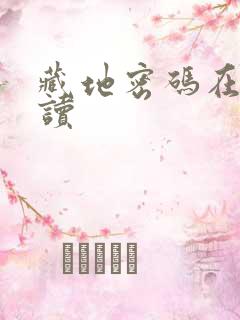 藏地密码在线阅读